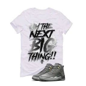 Air Jordan 12 Dark Grey White T (Next Big Thing)