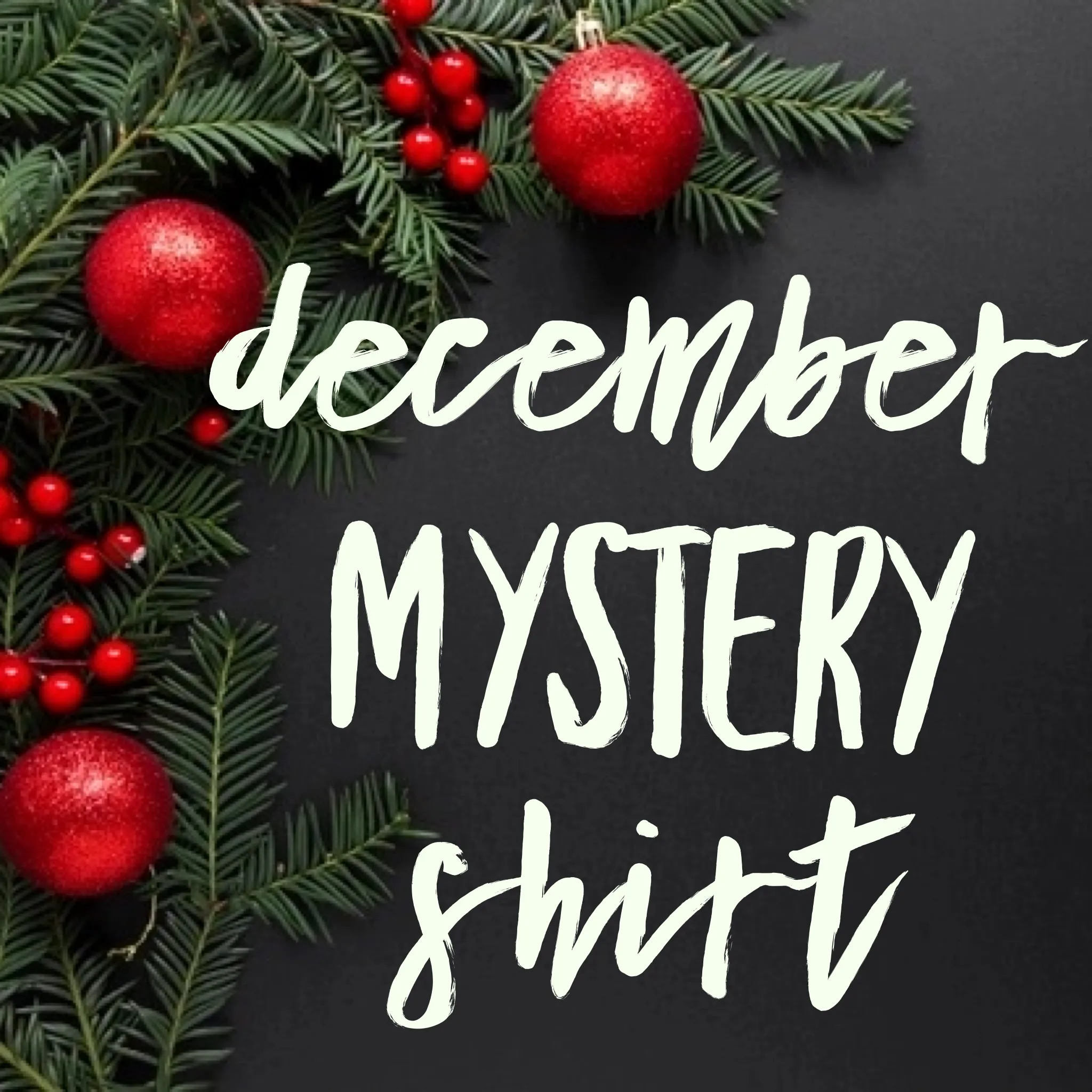 December 2020 Mystery Shirt {Pre-Order:  Ships First Week of December/Please Order Separately!}